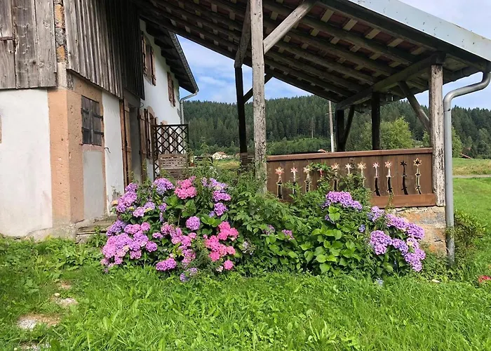 Chez Odile - Charmante Ferme Renovee